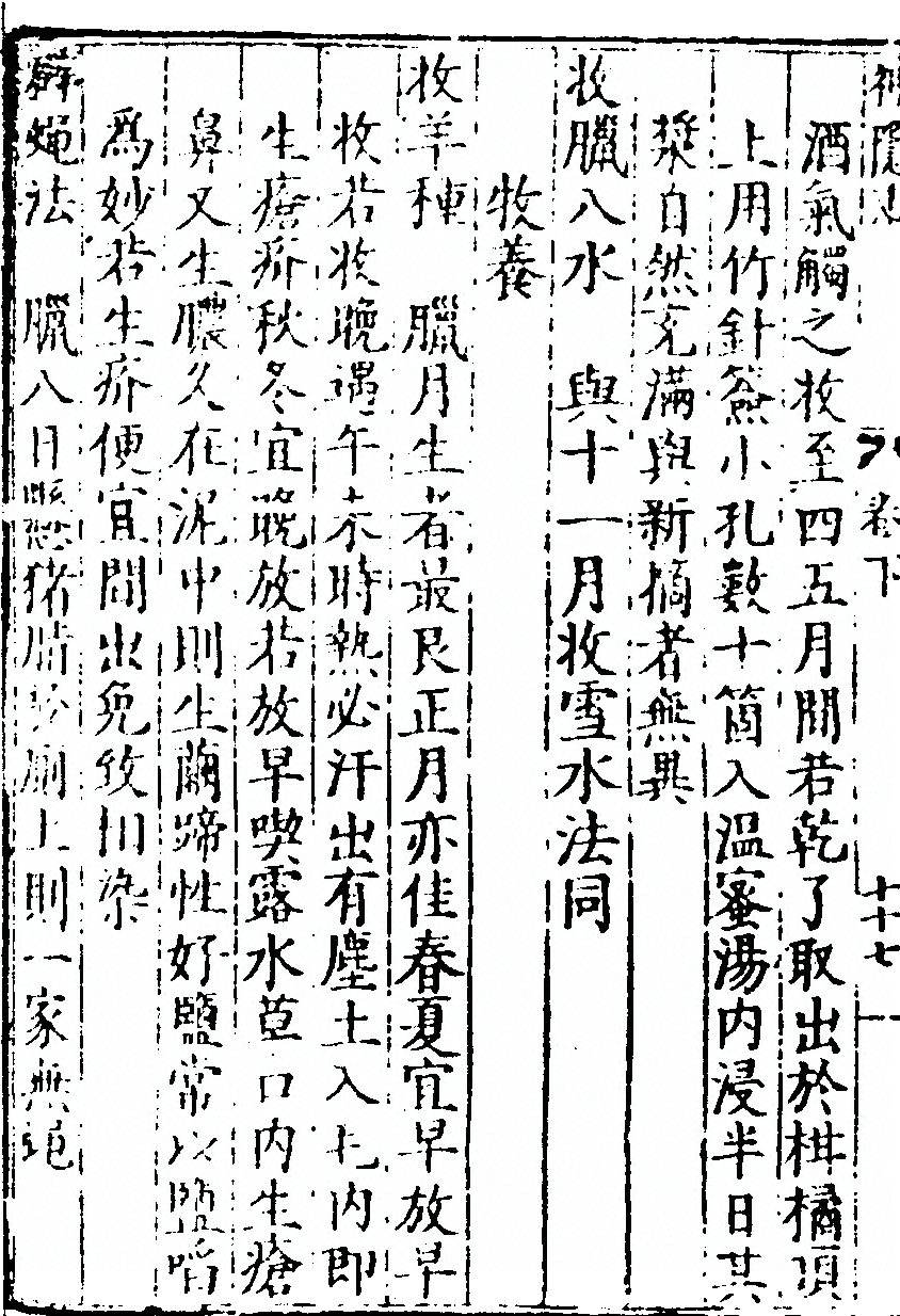 p. 306