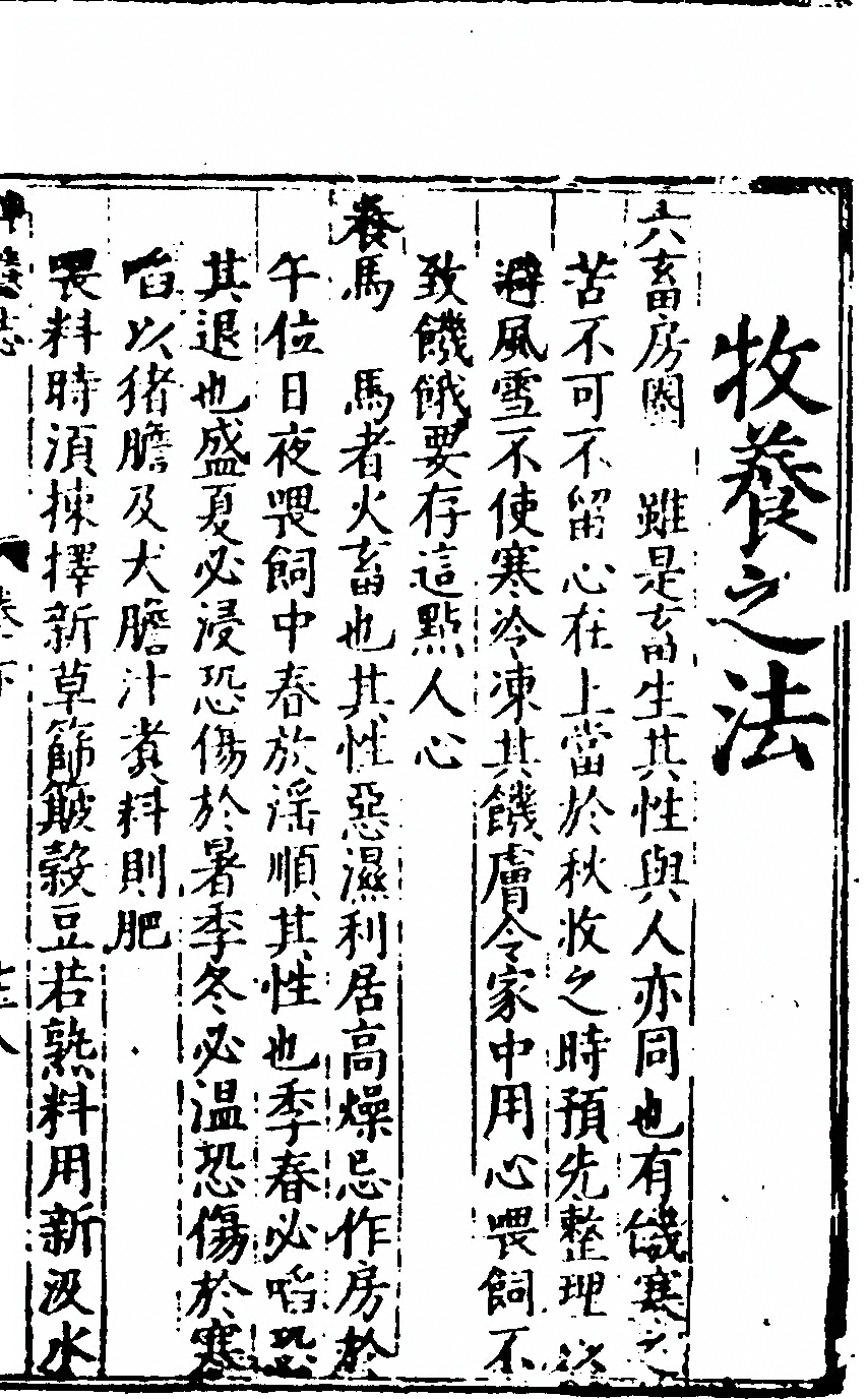p. 307