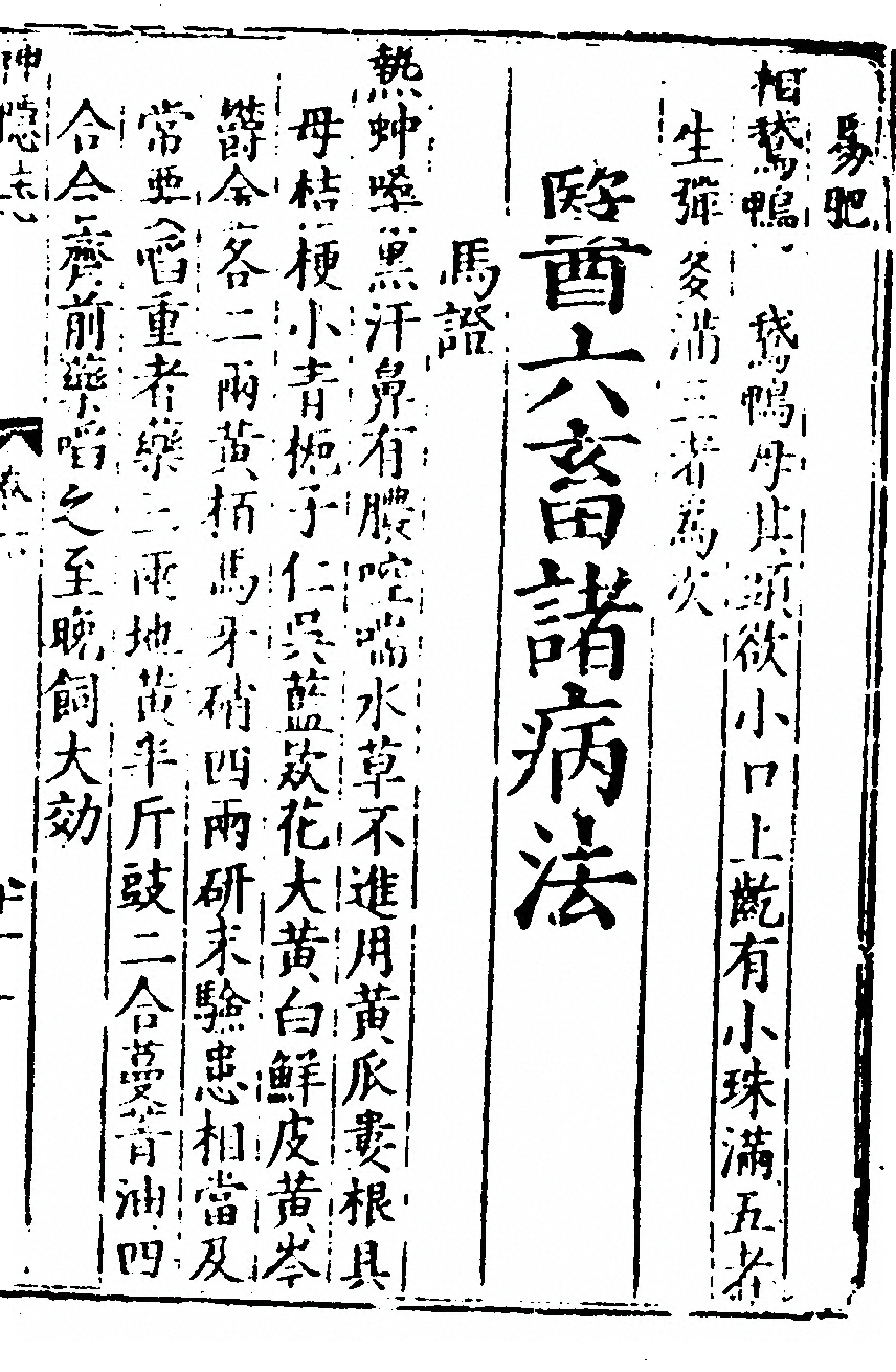 p. 313