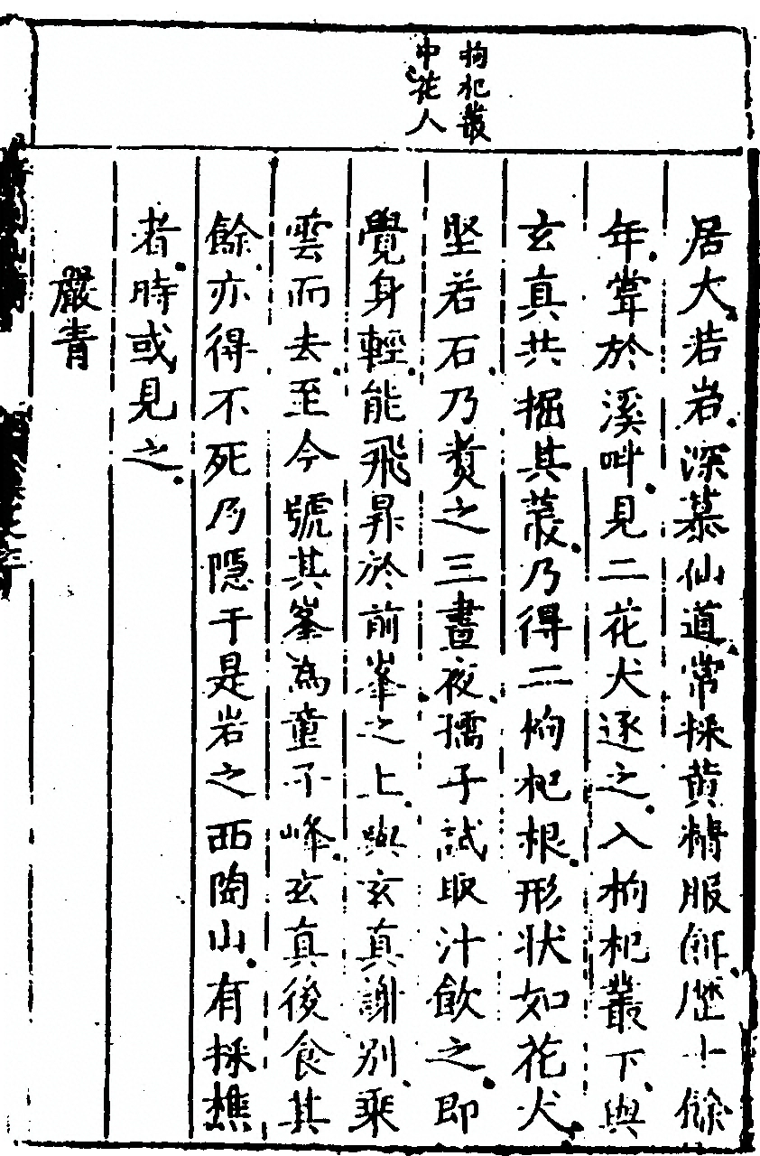 第 247 页