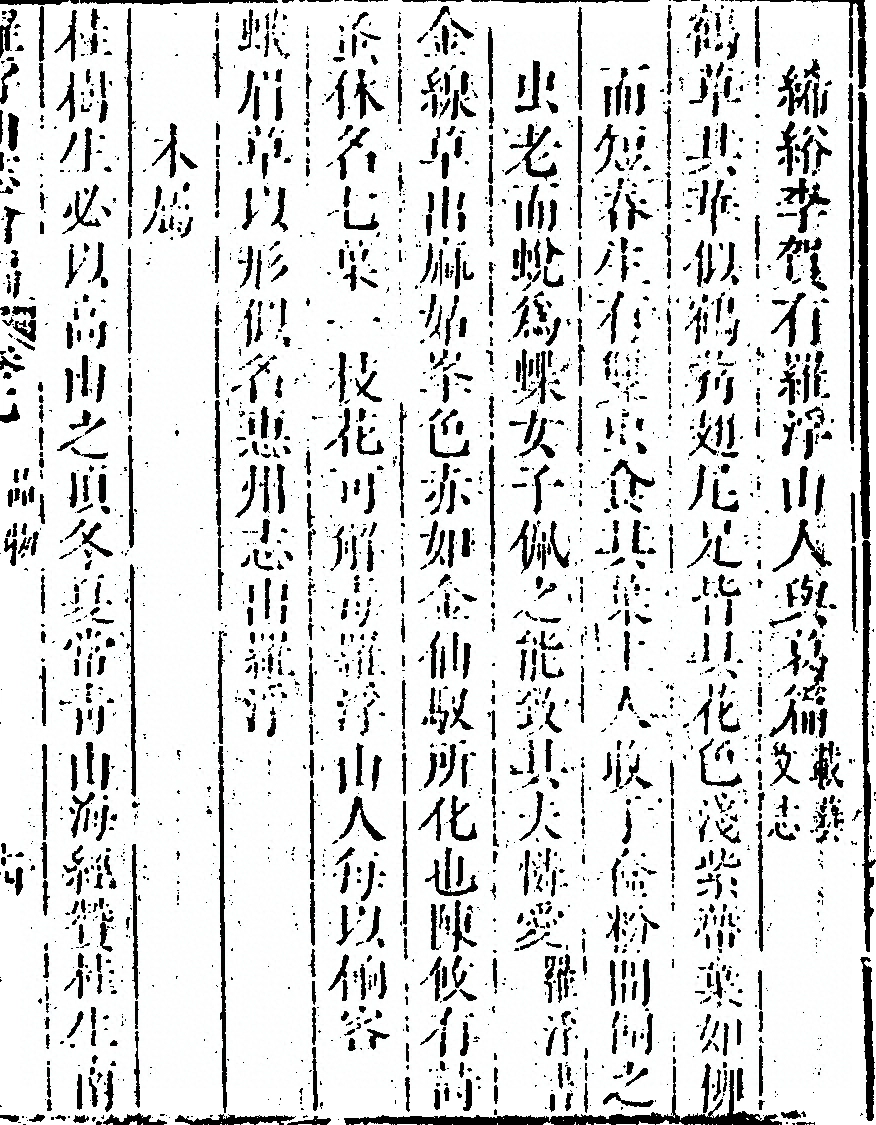 第 519 页