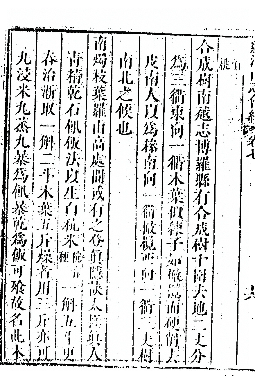 第 524 页