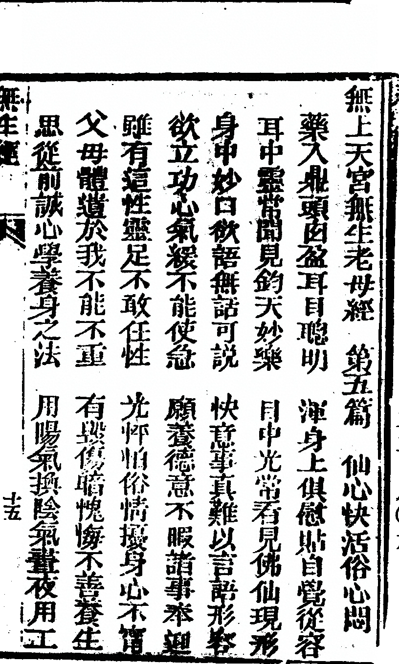 p. 31