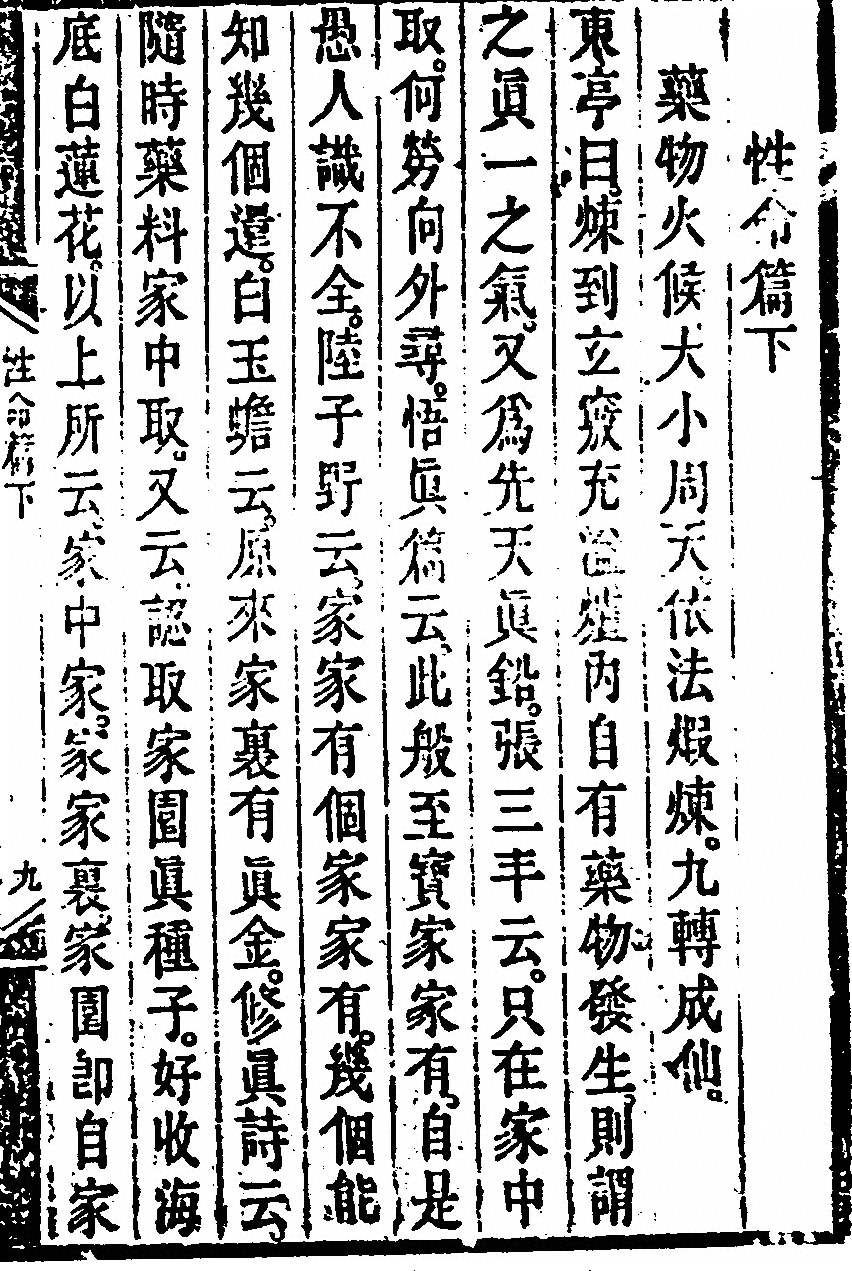 p. 31