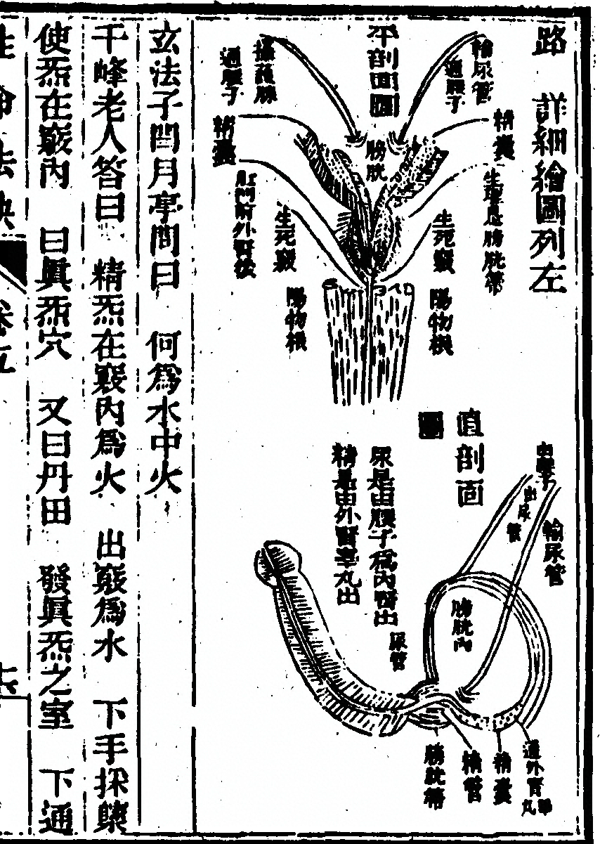 第 169 页