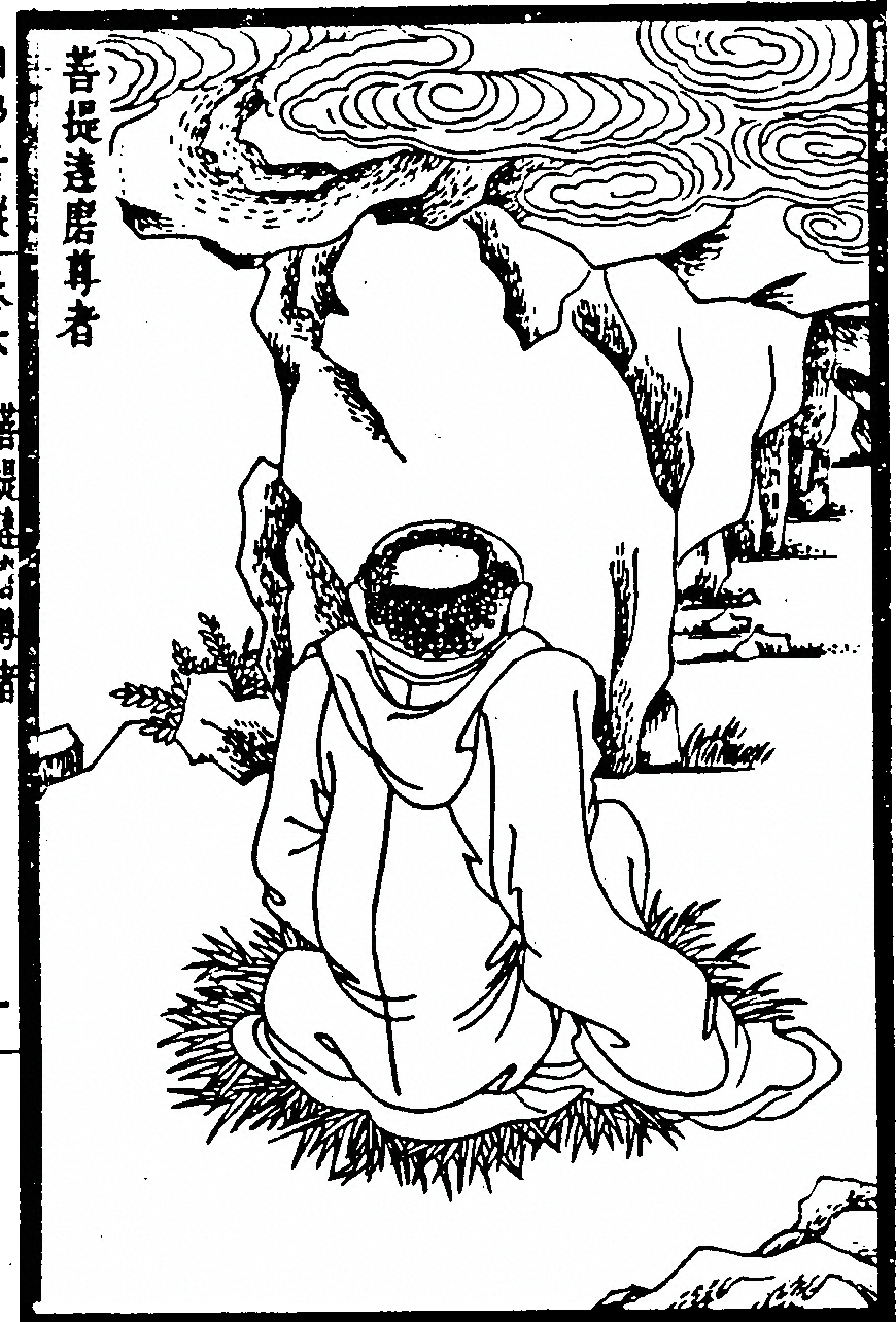 第 233 页