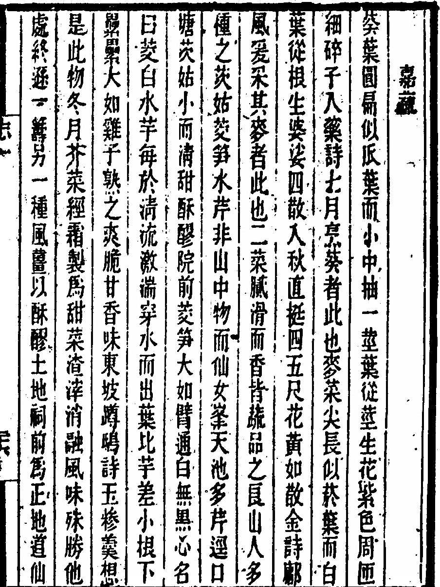 第 53 页