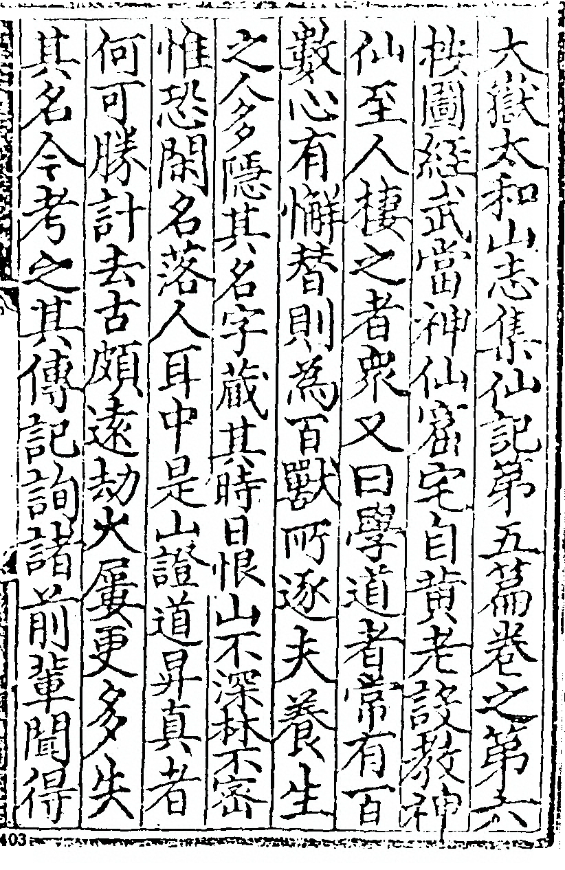 p. 393