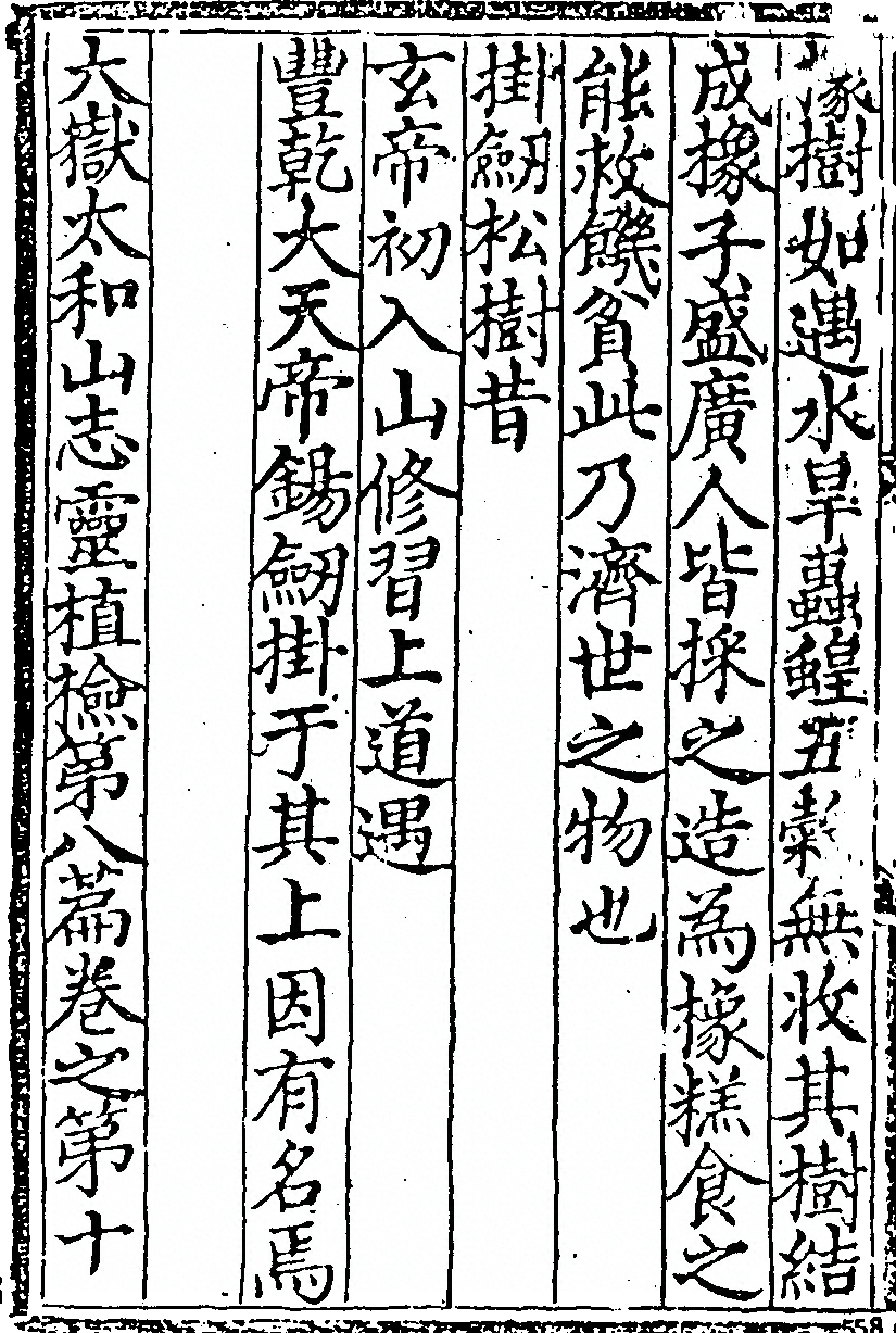 第 538 页