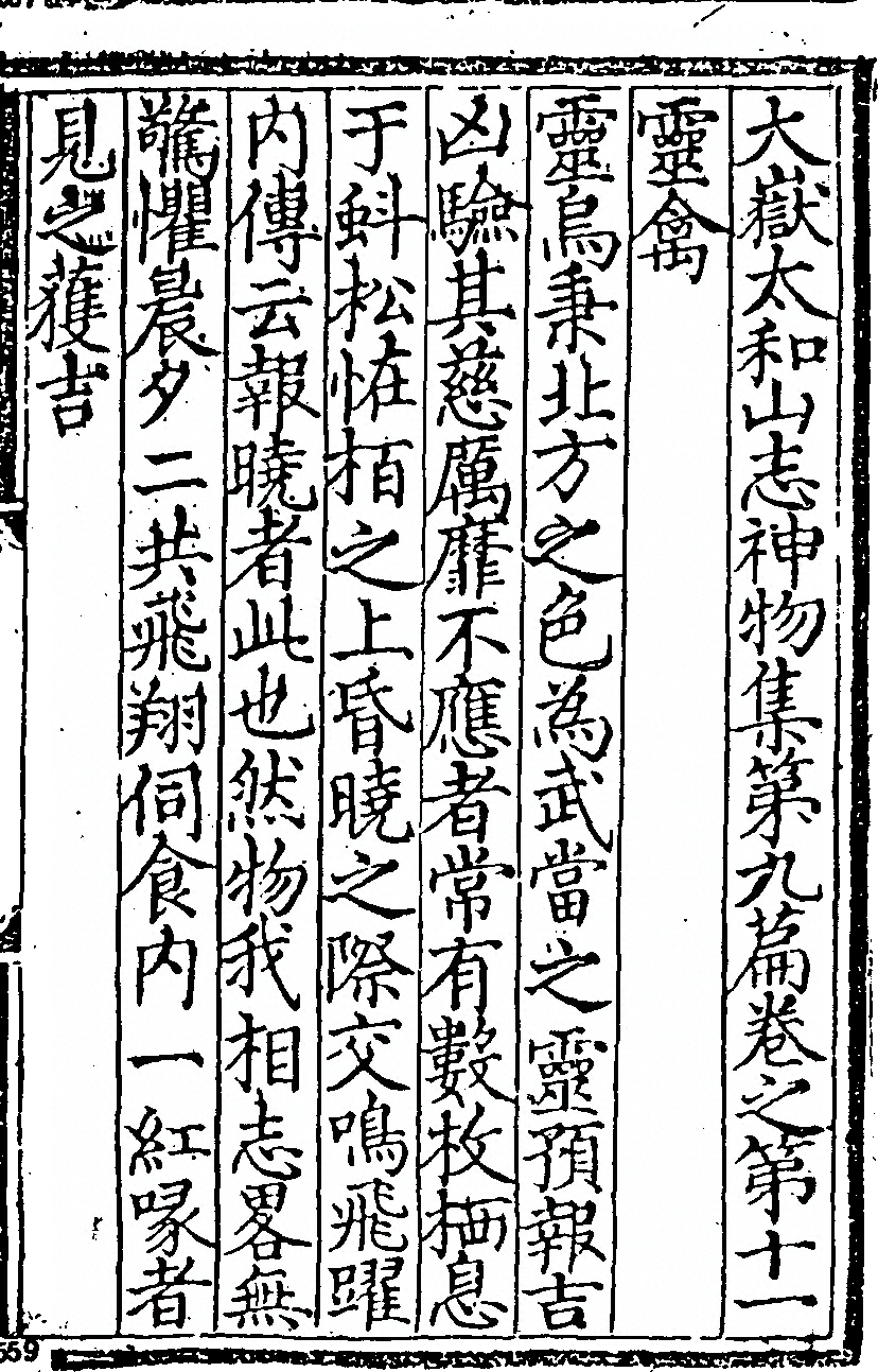 第 539 页