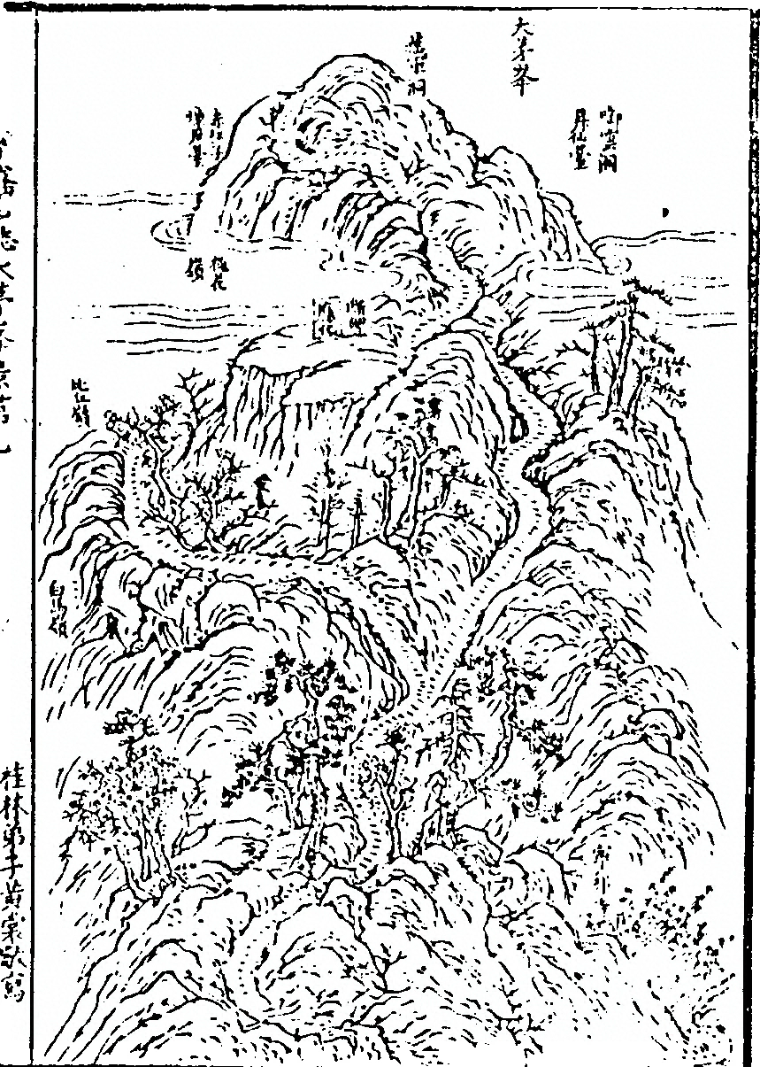 p. 219