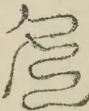 〓