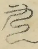 〓