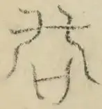 〓