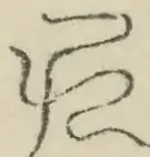 〓