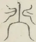〓