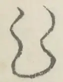 〓