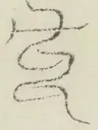 〓