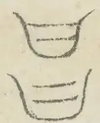 〓