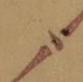 〓