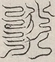 缺字图 〓