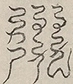 〓