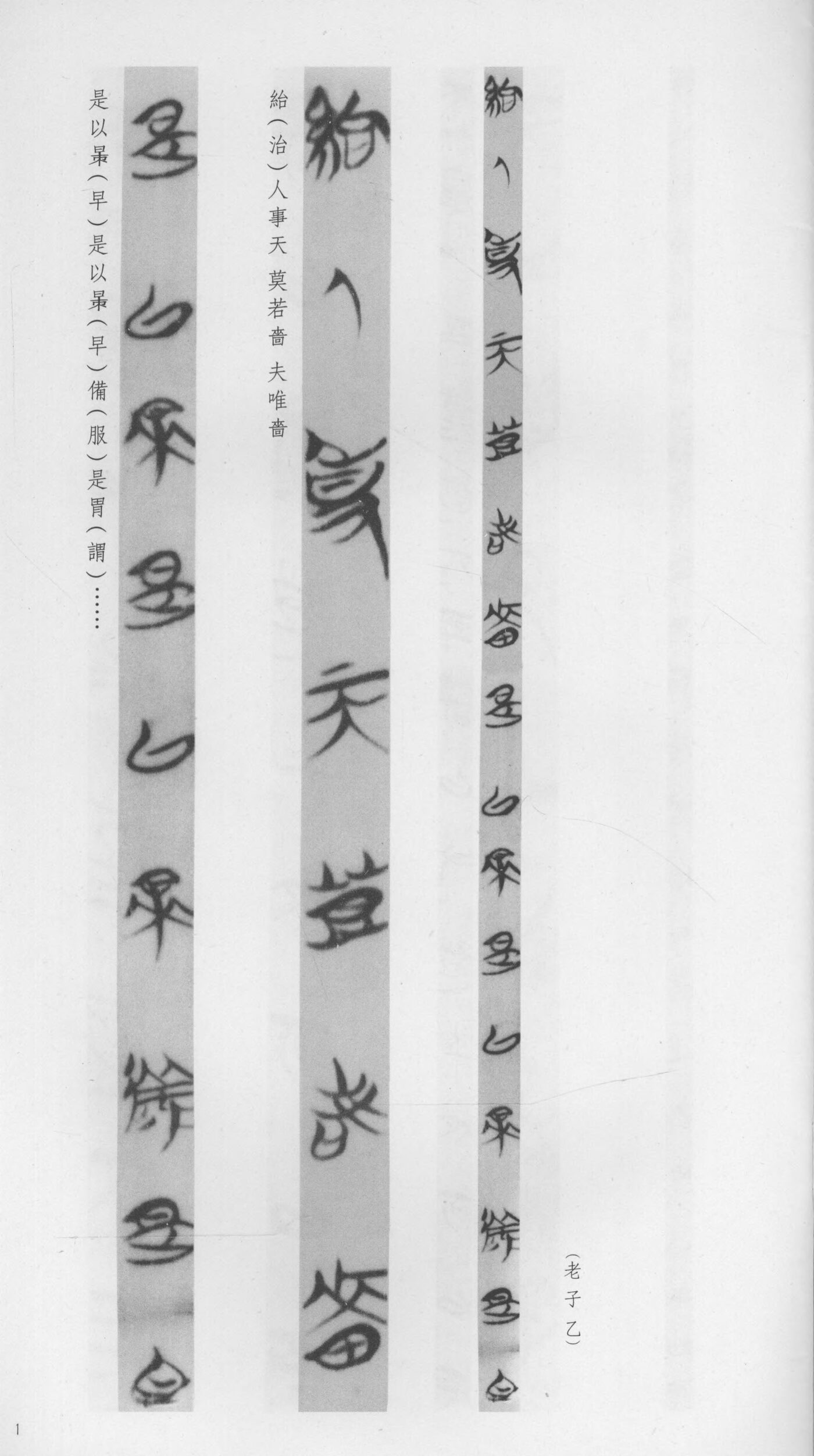 Strip 1