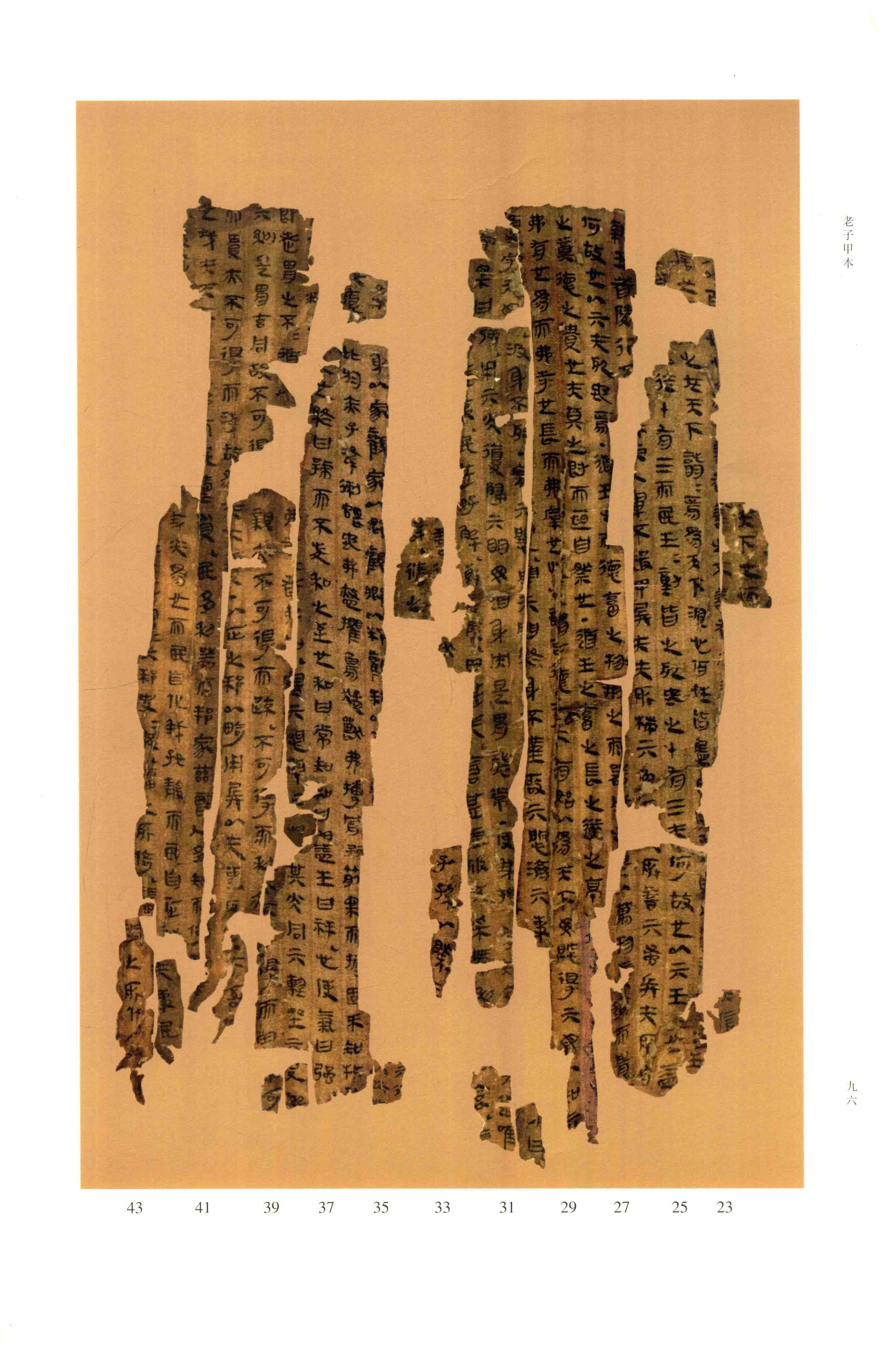 第 1 册 第 95 页